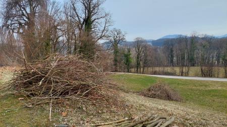 Jelsingrad ciscenje 4